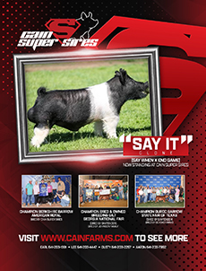 Cain Super Sires Recent Print Ad
